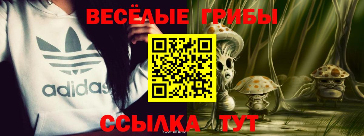 Псилоцибиновые грибы Psilocybe  закладки  Верхний Уфалей  Псилоцибиновые грибы GOLDEN TEACHER  Вход с VPN 